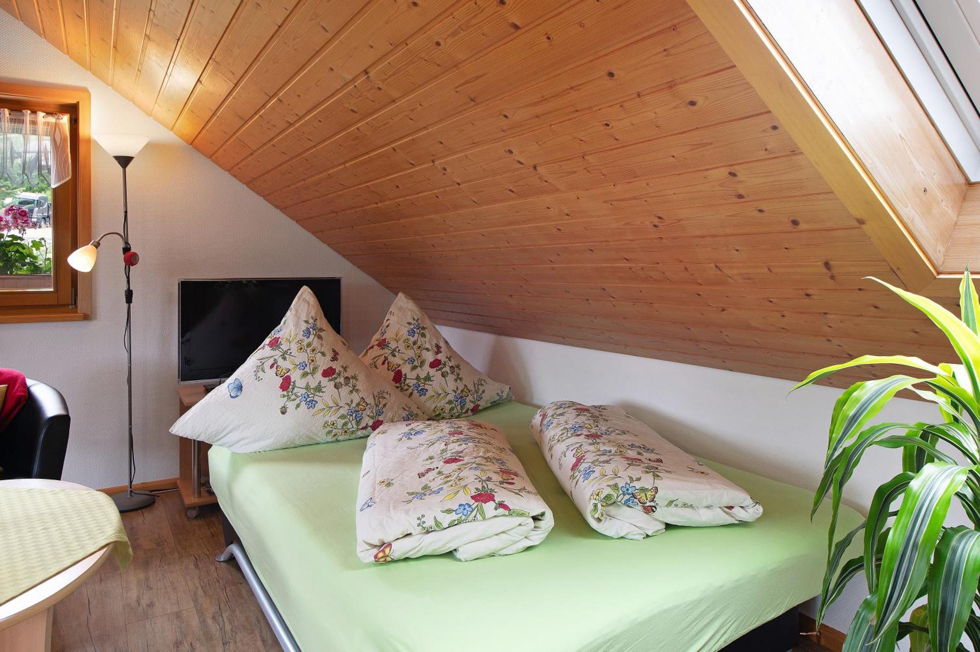 Ferienwohnung Blasi Mit Alpensicht Ibach Ngoại thất bức ảnh